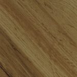 Дуб ирландский (121)